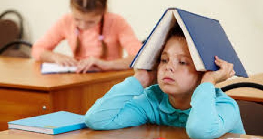 Dağlıq rayonlarda şagirdlərin sayı sürətlə azalır