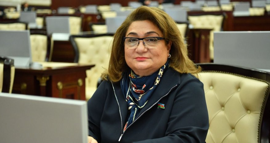 Məktəblərdə tibbi və psixoloji xidmətlərin təşkilinə ehtiyac var Deputat