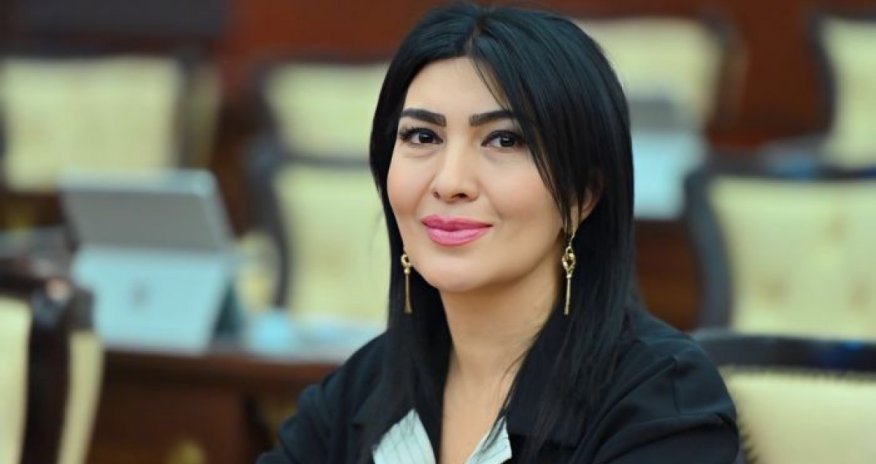 Cəfər Cabbarlı adına mədəniyyət evi yararsız hala düşüb - Elnarə Akimova