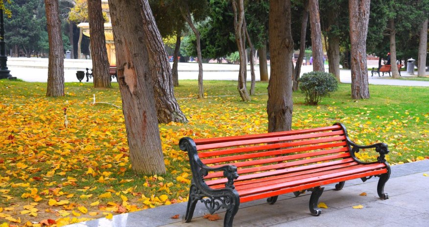 Sabah hava necə olacaq?