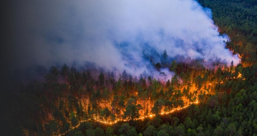 Анкара поможет Ирану справиться с лесным пожаром