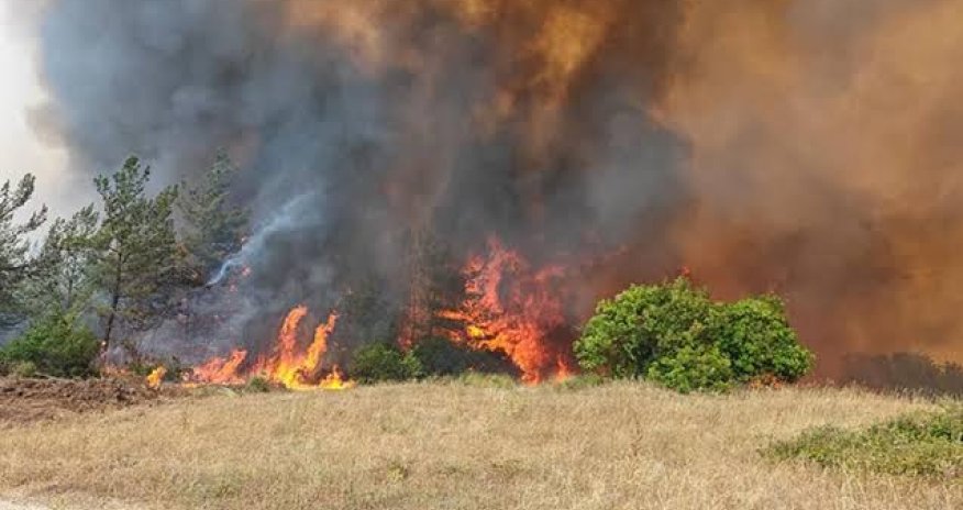 Gədəbəydə dağlıq ərazidə yanğın olub