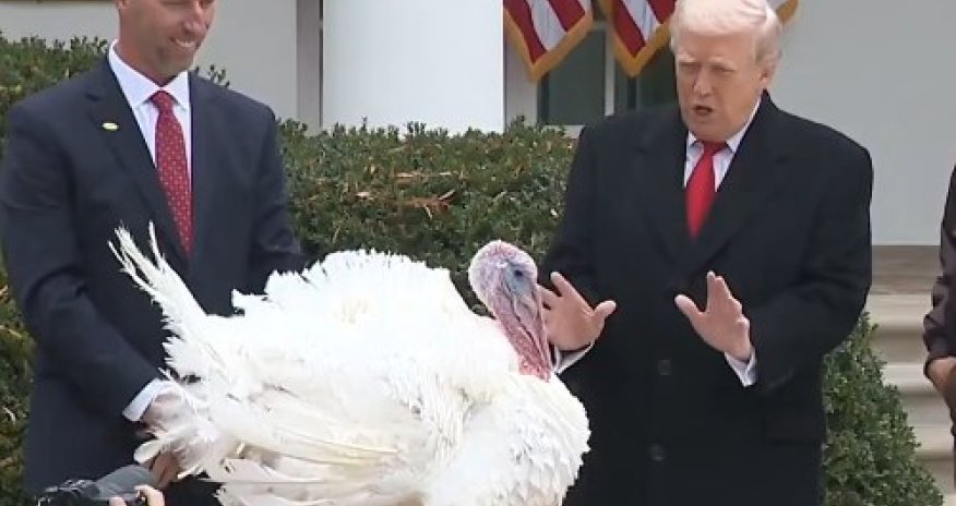 Tramp iki hinduşqanı hotelə gətizdirərək onları əfv edib