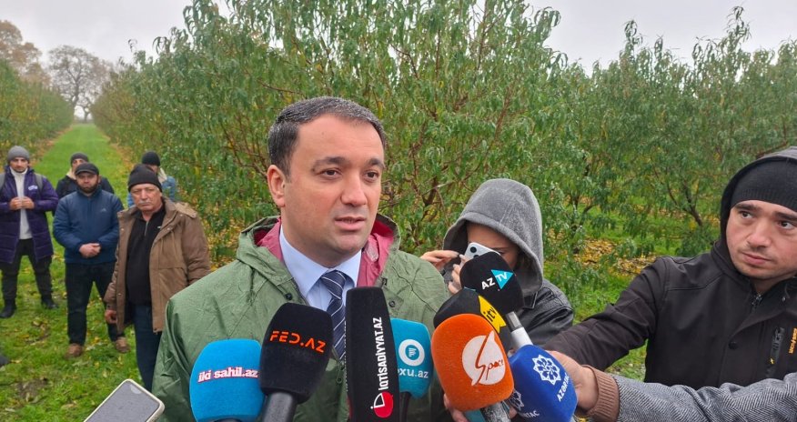 Azərbaycanda quraqlıq sığortası hazırlanır