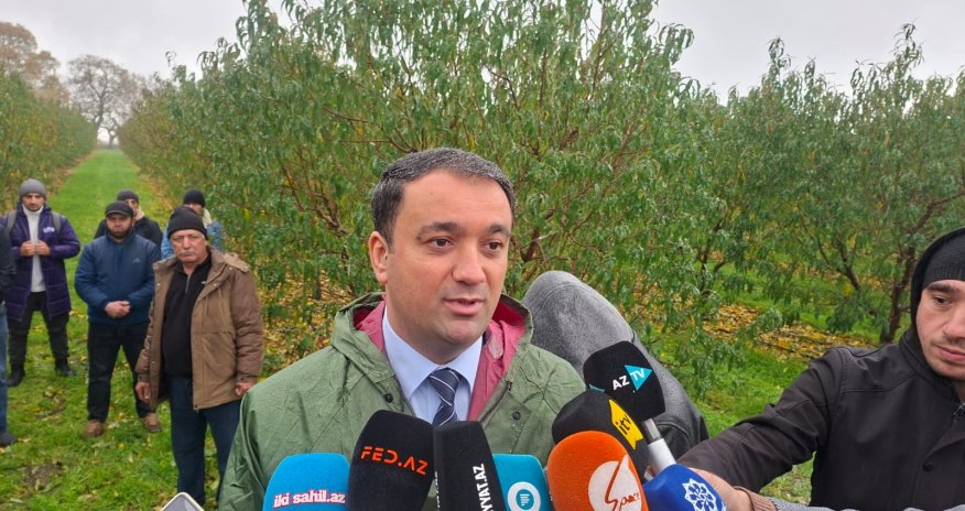 Aqrar Sığorta Fondu: Son iki ilin ən böyük sığorta ödənişi 1,1 milyon manat olub