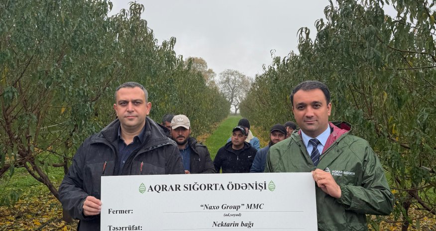 Bu il ölkədə meyvə bağı üzrə 700 min manatdan çox sığorta ödənişi verilib