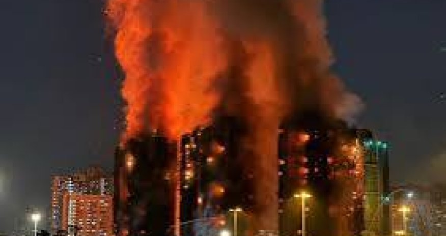 SCMP: Более 90 домашних питомцев спасли в Гонконге на месте мощного пожара