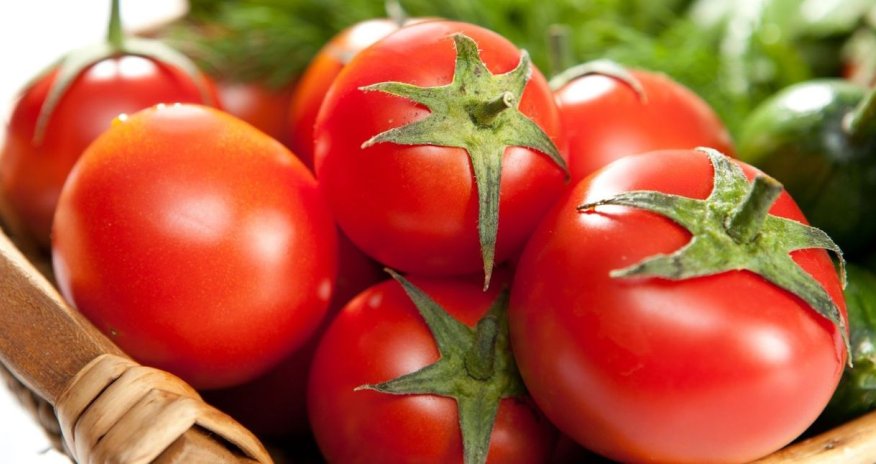 Azərbaycanın pomidor ixracı 9 ayda 12% artıb