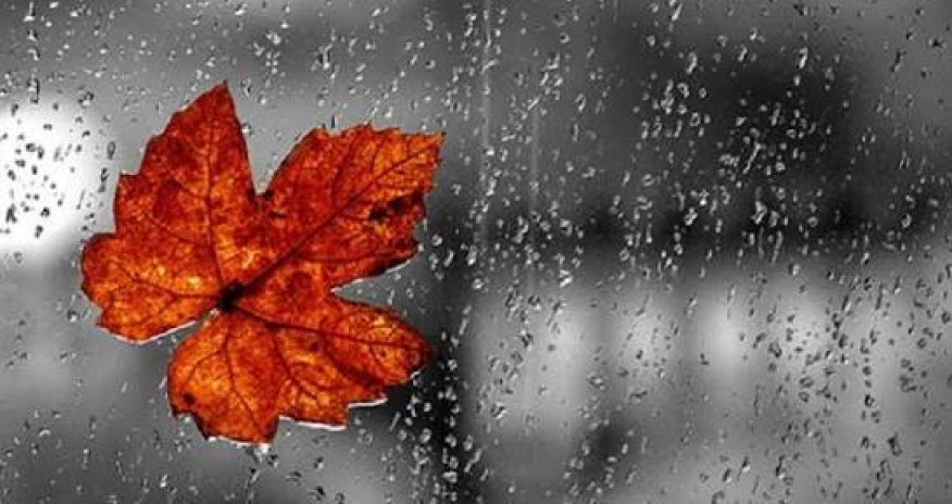 Bəzi ərazilərdə yağıntılı hava şəraiti müşahidə olunur - FAKTİKİ HAVA