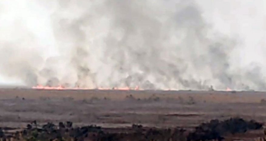 Cəlilabadda ovçuluq təsərrüfatında yanğın olub