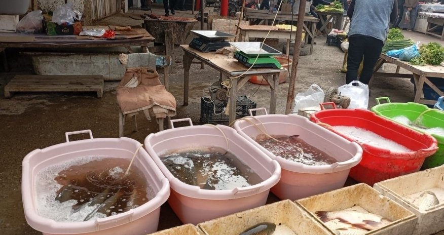 AQTA bu rayonların ərzaq bazarlarında monitorinq keçirib