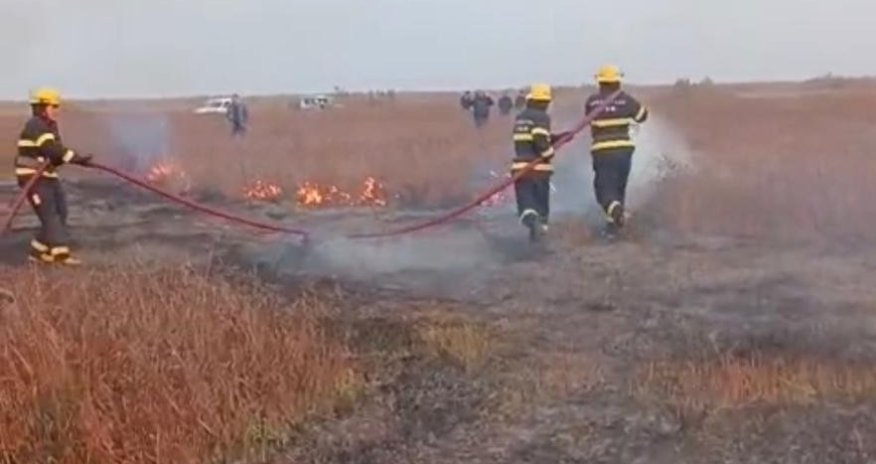 Cəlilabadda açıq ərazidə yanğın baş verib