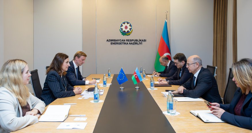 Energy minister meets head of EU Delegation to discuss cooperation prospects