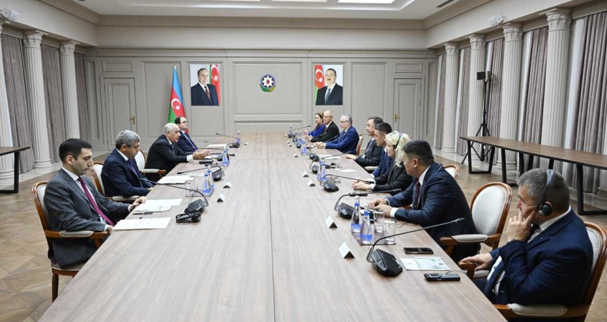 Əsədov Türk Dövlətləri Təşkilatı nazirləri ilə əmək və sosial müdafiə əməkdaşlığını müzakirə edib