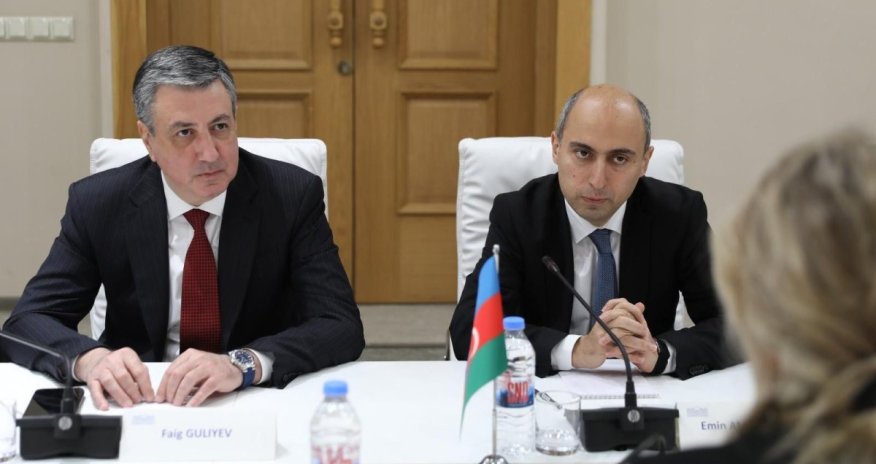 Эмин Амруллаев в Грузии