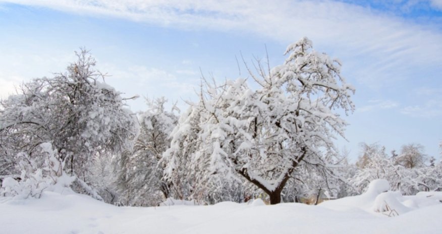 Bəzi rayonlara qar yağıb - Faktiki hava