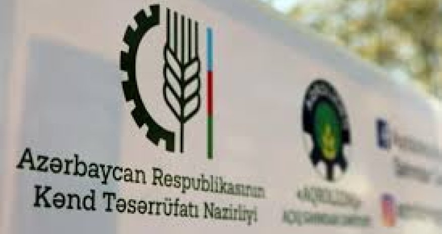 Nazirliyin süni intellektlə hazırladığı 5 layihə başa çatıb