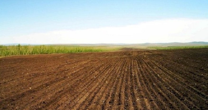 4 minə yaxın sahədə monitorinq aparılıb - Nazirlik vəziyyəti açıqlayıb