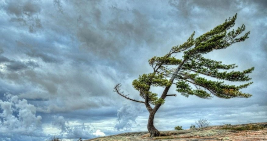 Küləkli hava ilə bağlı sarı və narıncı xəbərdarlıq edilib
