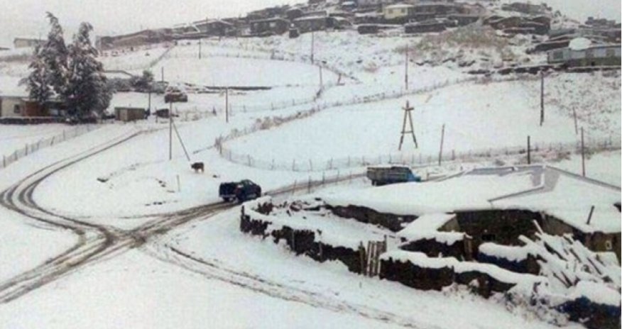 Qaxa qar yağıb - FAKTİKİ HAVA