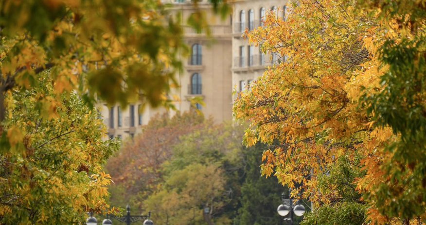 Sabahın hava proqnozu açıqlanıb