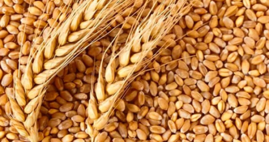 Armenia expects new grain deliveries via Azerbaijan