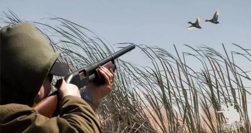 Şabranda qanunsuz ov edən şəxs saxlanılıb