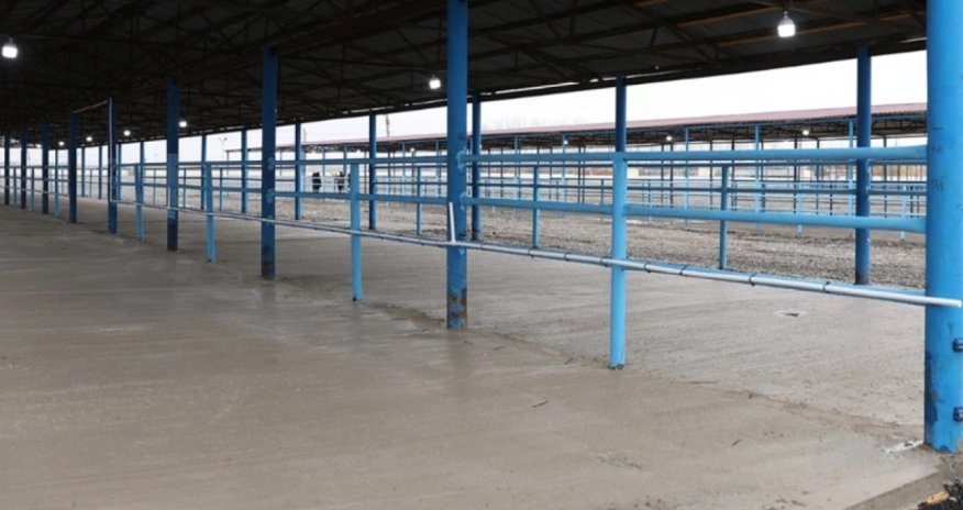 Bərdə heyvan satışı bazarı fəaliyyətini bərpa edib