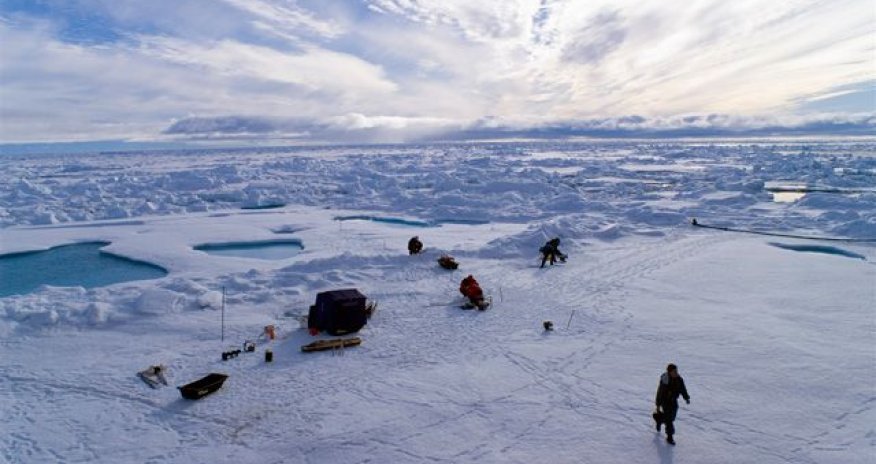 NOAA: Температура воздуха в Арктике достигла рекордных показателей