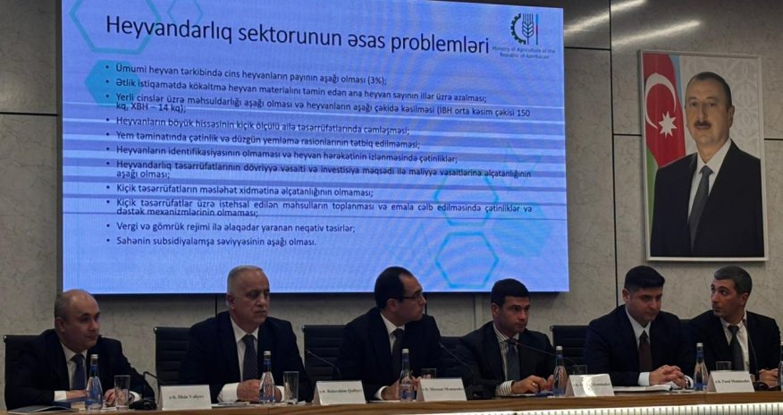 Zaur Əliyev : Azərbaycanda heyvandarlıq sektorunda sistemli problemlər qalıb