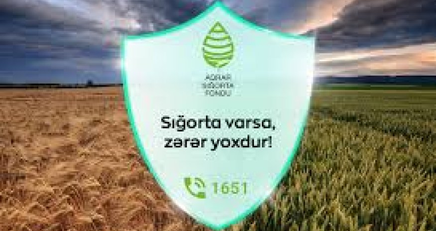 Qax və Zaqatala fermerlərinə 22 min manatlıq sığorta ödənişi verilib