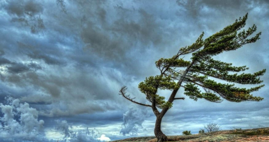 Sabah hava yağmursuz olacaq