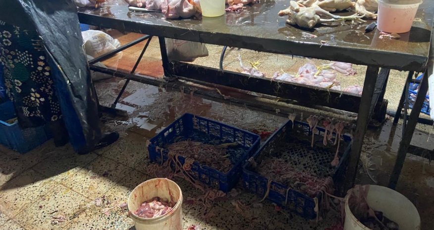 Xırdalanda 2 min ev quşunun qanunsuz kəsildiyi sexin fəaliyyəti məhdudlaşdırılıb