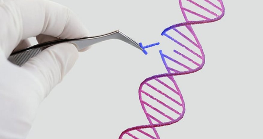 İnsanın klonu patent obyekt kimi qəbul edilməyəcək