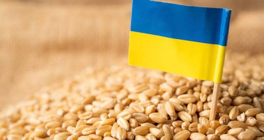 Молдова снимет ограничения на импорт зерна из Украины