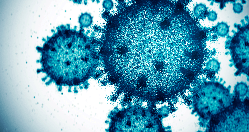 Azərbaycanda yeni virus yayılması həqiqəti əks etdirmir