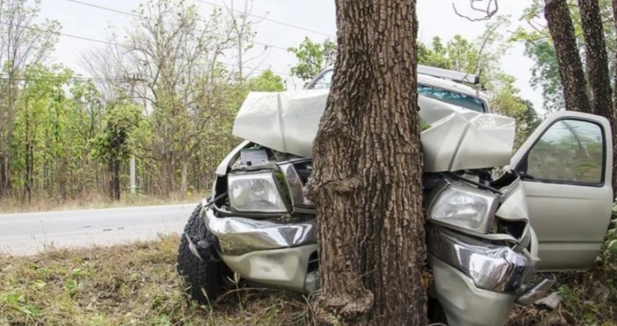 Qaxda avtomobil ağaca çırpılıb, sürücü ölüb