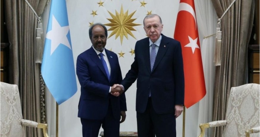 Ərdoğan Somali Prezidenti ilə görüşüb