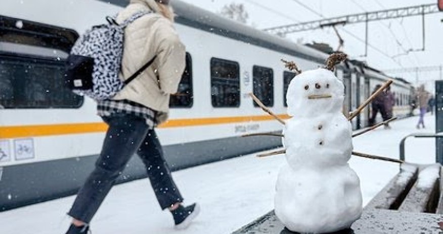 В Краснодарском крае из-за снегопада задержано 55 поездов