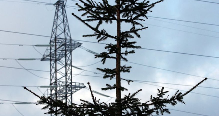 В Краснодарском крае РФ десятки тысяч жителей остались без света