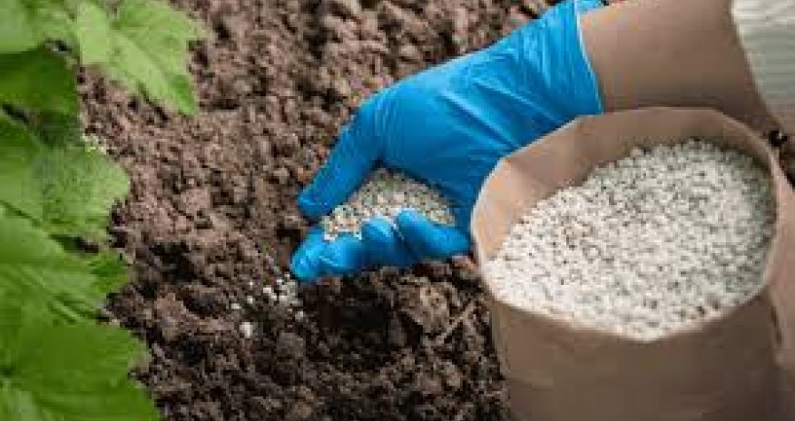 
Azərbaycan gübrə ixracından qazancını 45 %-ə yaxın artırıb