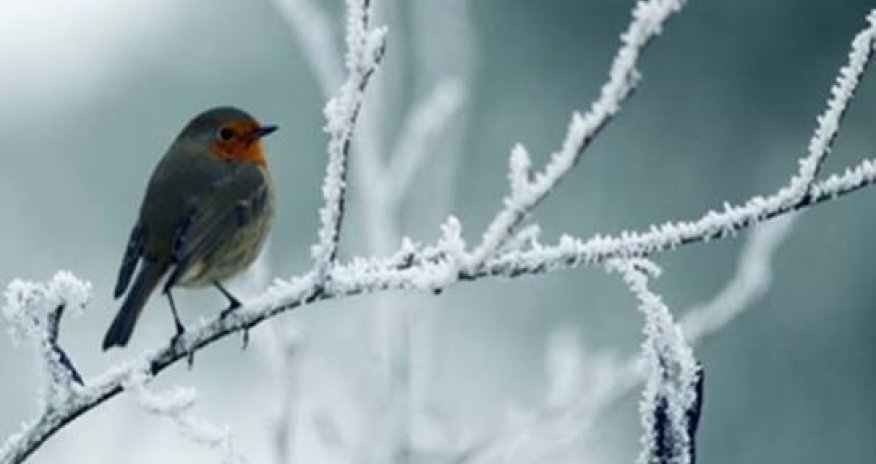 Sabahın hava proqnozu