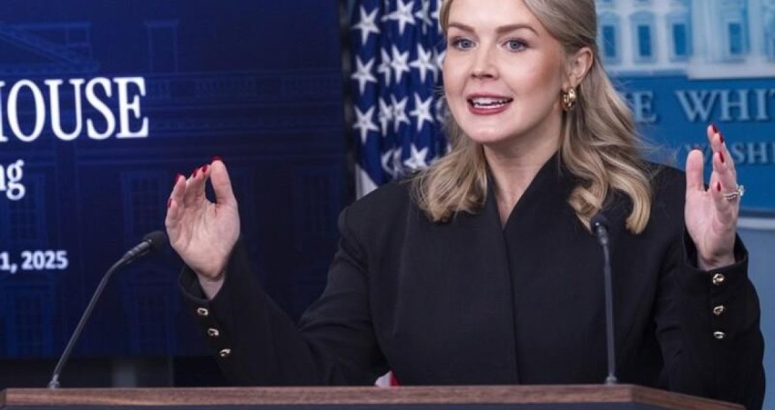 Трамп готов торговаться: в США объяснили ценность Гренландии