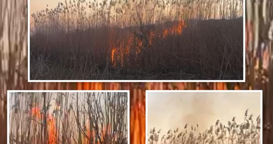 Cəbrayılda yanğın törədən şəxs həbs edilib