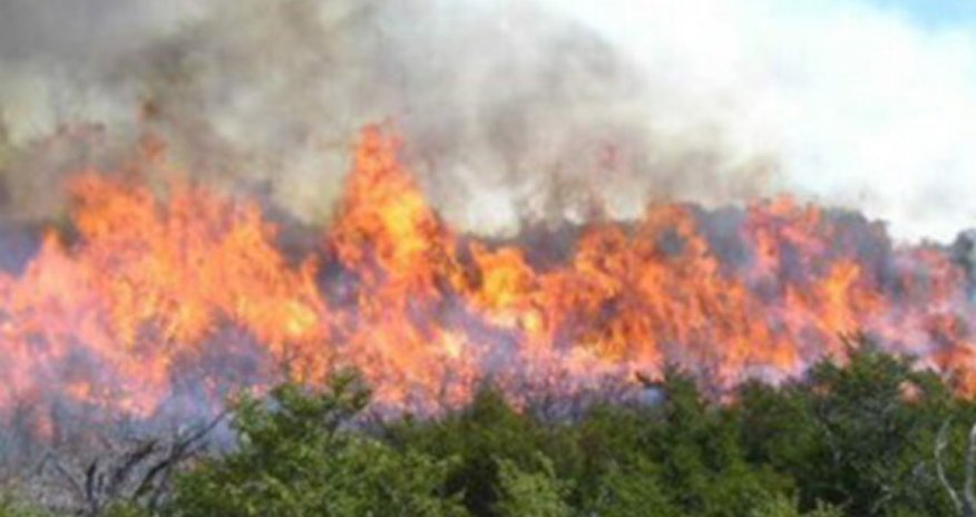 Cəbrayıl və Füzulidəki yanğınlar söndürülüb