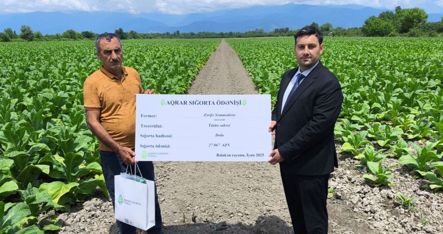 Ötən il fermerlərə nə qədər sığorta ödənişi edilib? - Rəsmi