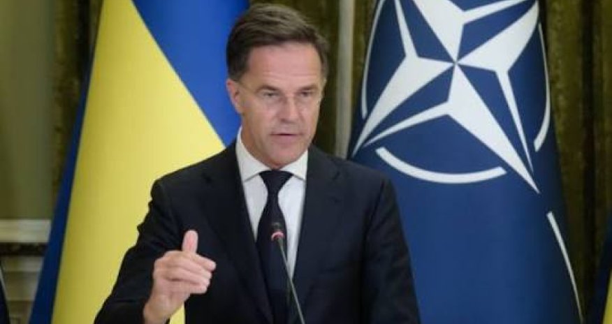 Рютте встретится в понедельник с министрами Дании и Гренландии