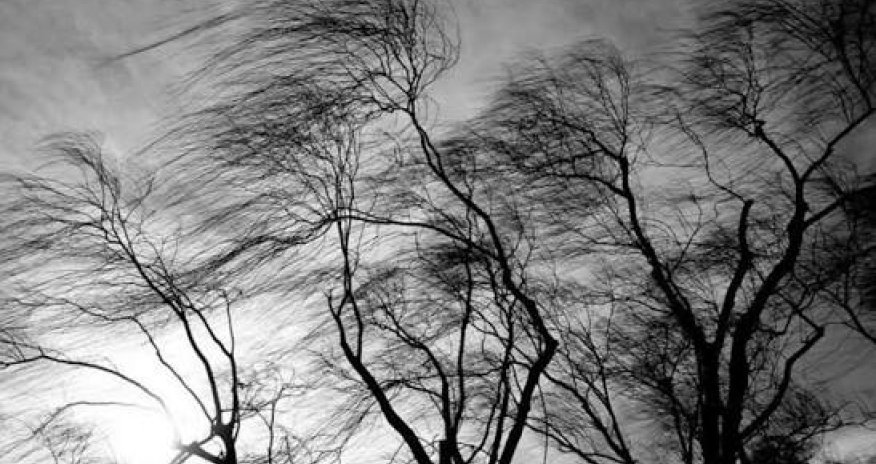 Növbəti iki gün ərzində güclü külək əsəcək - XƏBƏRDARLIQ