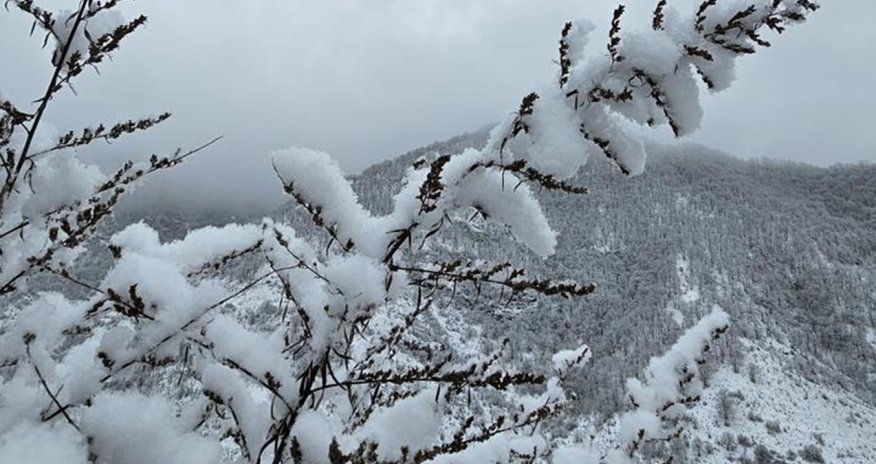 FHN kəskin hava şəraiti ilə bağlı əhaliyə təkrar xəbərdarlıq edib