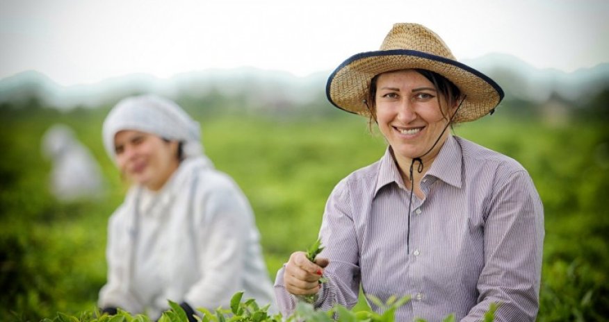 Deputat: Fermerlər üçün uzunmüddətli və aşağıfaizli kreditlər qanunla tənzimlənməlidir